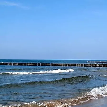 Paradise