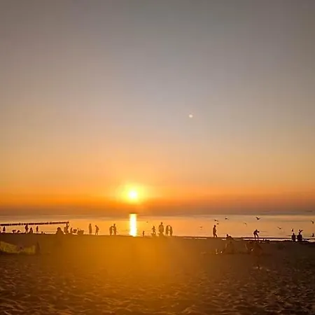Paradise アパートホテル